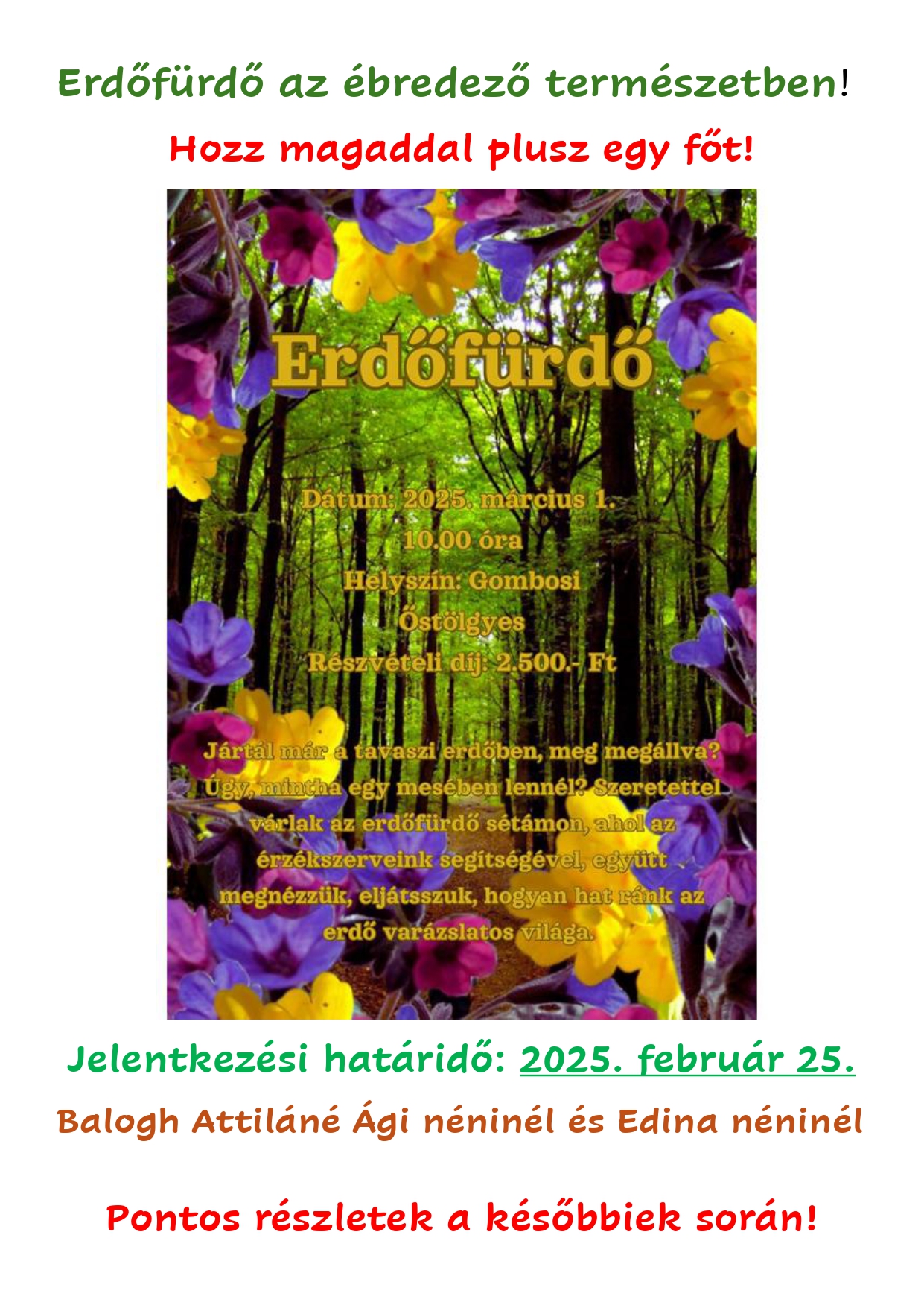 Erdőfürdő az ébredező természetben 1 pages to jpg 0001